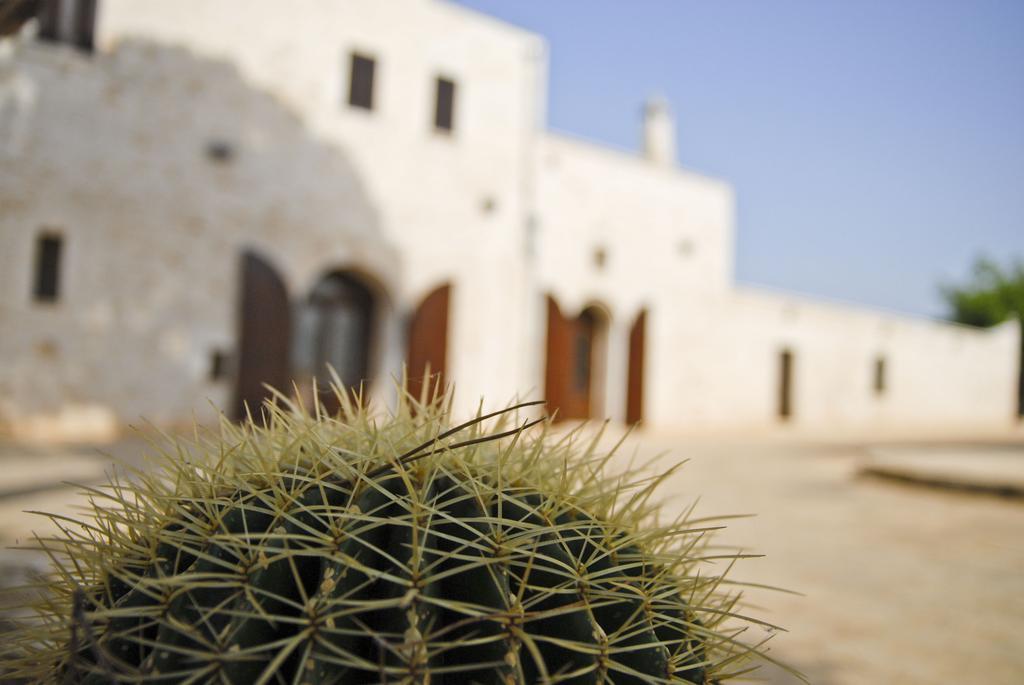 Masseria Valente Ostuni Quarto foto